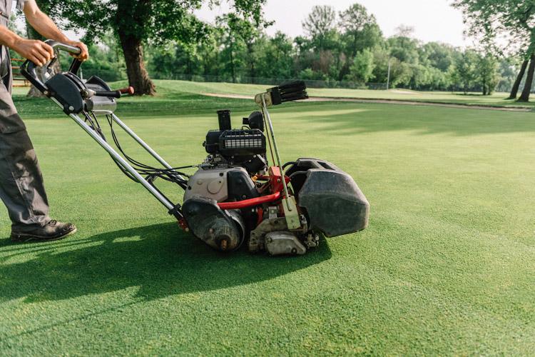 Groundsmen and greenkeepers