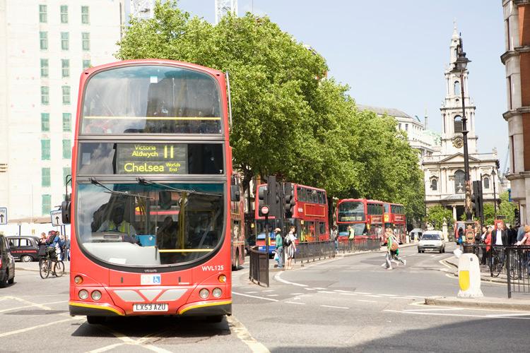 Bus and coach drivers